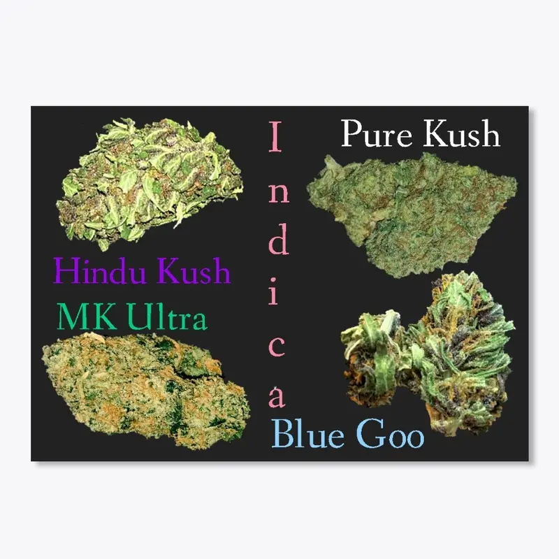 Indica Cannabis Strain Stickers Set 1